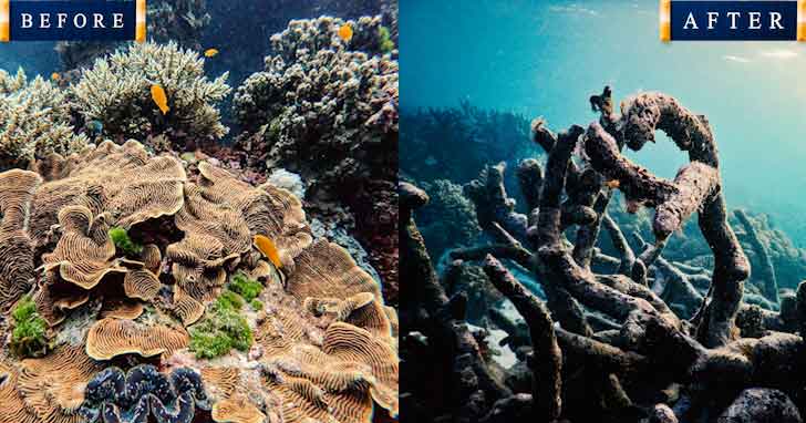 Great Barrier Reef 20 popular tourist locations under threat that are dying 