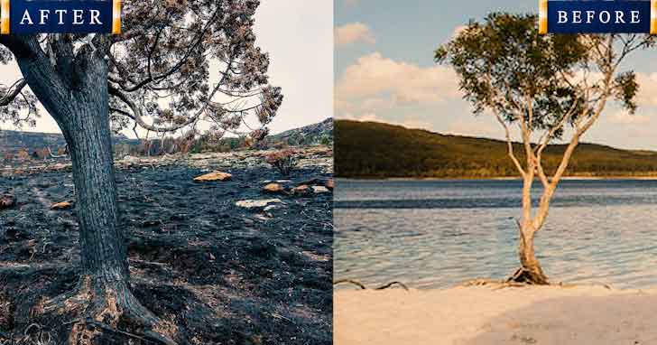 Lake Mckenzie 20 popular tourist locations under threat that are dying 